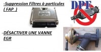 Suppression Filtres à particules ( FAP / EGR )