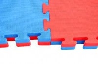 Tatami Puzzle 