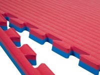 Tatami puzzle