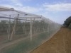 terain agricole