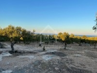 Terrai de 3316 m² à vendre à Maamoura 51355351