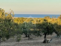 Terrai de 3316 m² à vendre à Maamoura 51355351