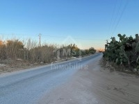 Terrai de 3316 m² à vendre à Maamoura 51355351