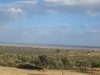 Terrain 1 hectare et 3000m² avec vue mer planté d’