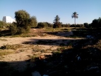 Terrain 1100m2 à Midoun Jerba