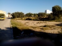 Terrain 1100m2 Midoun Jerba