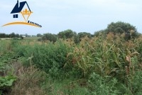 Terrain 12700 m² à Dar Allouche