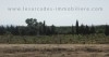 Terrain 1hectare et 6000m² à sidi mtir