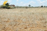 terrain