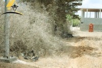 terrain