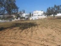 terrain 270m2 kharrouba hammamet nord