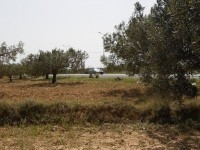 terrain 284m2 coter mer mrezga