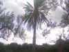 terrain 3040 m2