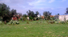 terrain 3040 m2