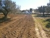 Terrain 500m2 sur route sidi jedidi hammamet