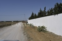 terrain 600m² a 45MD à hammamet 