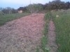 terrain 768m2 a raf raf