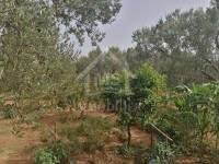 Terrain à 150 m de la plage à vendre 51355351