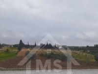Terrain à Birbourgba de 2200 m² à vendre à 440 MD 