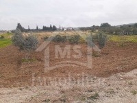 Terrain à Birbourgba de 2200 m² à vendre à 440 MD 
