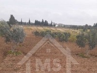 Terrain à Birbourgba de 2200 m² à vendre à 440 MD 