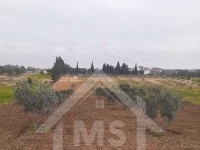 Terrain à Birbourgba de 2200 m² à vendre à 440 MD 