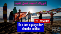 terrain a dar alouche kélibia