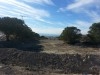 terrain a hammamet 