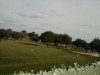 terrain a hammamet