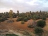 terrain a hammamet