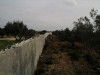 terrain a hammamet