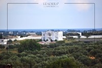 terrain a hammamet sud 