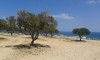 Terrain à Hammamet vue mer CS-558ecd