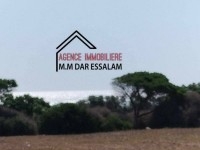 terrain à kerkouane