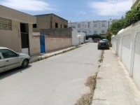 Terrain a la Marsa 