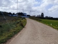 terrain à manzel brahim