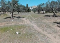 Terrain à vendre à 500 m de la plage 51355351