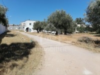 Terrain à vendre à Birbourgba 51355351