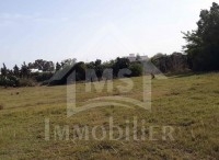 Terrain à vendre à Hammamet à 530 dt/m² 51355351