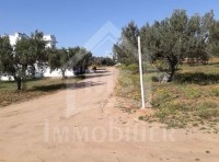 Terrain à vendre à Hammamet à 530 dt/m² 51355351