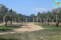 terrain a vendre à hammamet nord mrezga