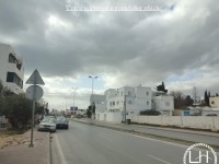 terrain à vendre à hammamet nord