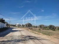 Terrain à vendre à Hammamet Sud à 110 MD 51555133