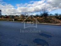 Terrain à vendre à Hammamet Sud à 250 MD 51555133