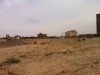 terrain a vendre kebili nord
