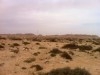 terrain a vendre kebili nord