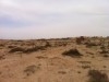 terrain a vendre kebili nord