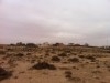 terrain a vendre kebili nord