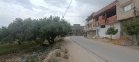 terrain à vendre rue el mansoura kélibia