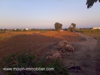 TERRAIN ADYLE Maamoura, Dharoufa T932